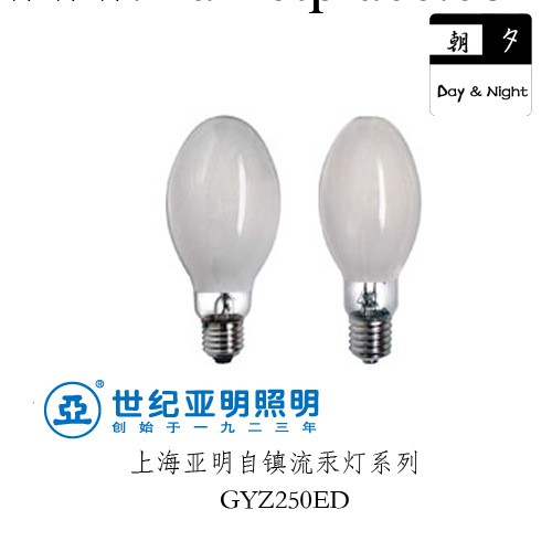 7月促銷大甩賣啦 上海亞明常州特約經銷 250W自鎮流高壓汞燈工廠,批發,進口,代購