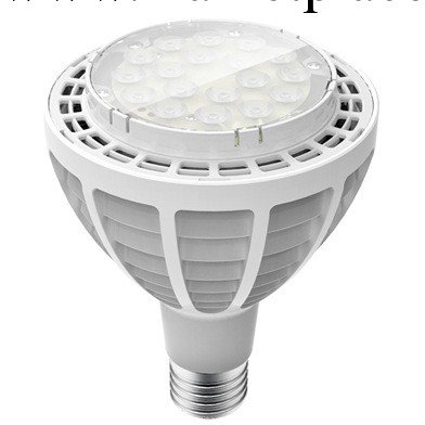 30W LED PAR30 帶風扇 （E27）批發・進口・工廠・代買・代購