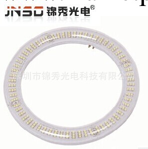 205mm 15w 12W  led環形燈管 全塑LED環狀燈管T9 LED環形燈管工廠,批發,進口,代購