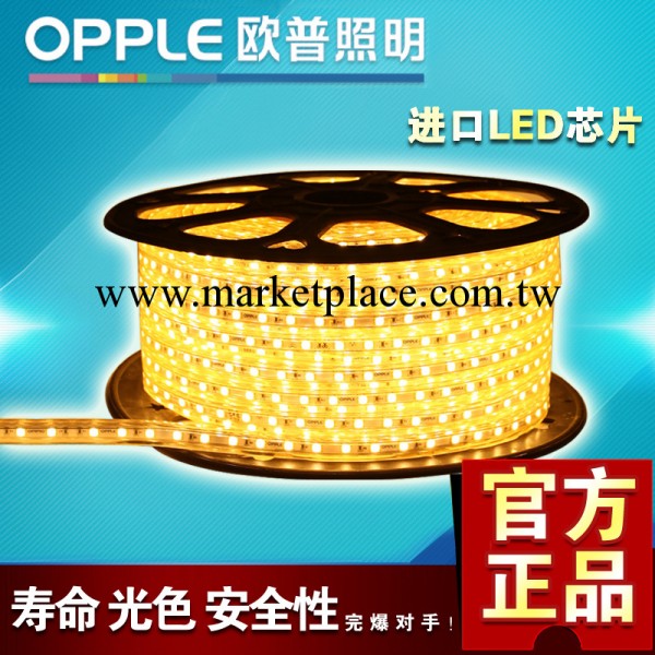 批零兼售 正品歐普照明 5050led燈帶 高亮60珠 LED-220/8-5050-60工廠,批發,進口,代購