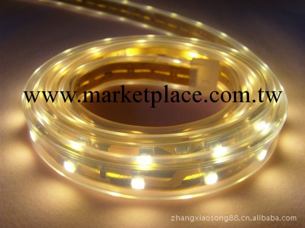 特價供應LED燈帶 軟燈條、亮化產品批發・進口・工廠・代買・代購