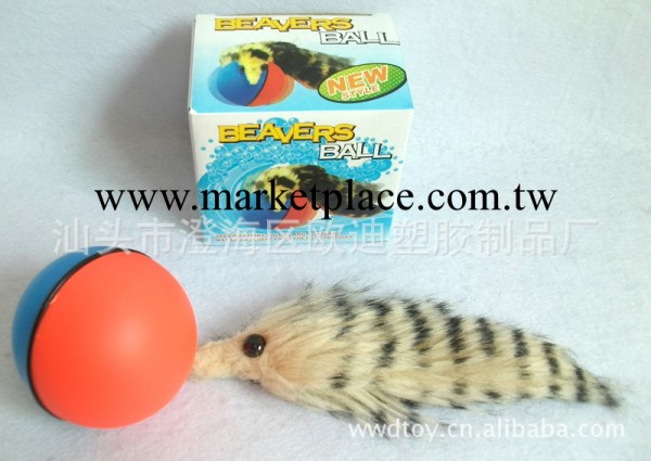 海貍球 beaver ball  海貍鼠玩具 電動海貍球 戲水玩具工廠,批發,進口,代購