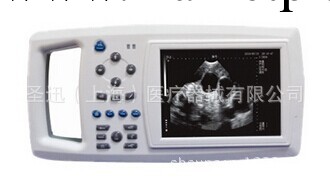 全數字掌上B超DW-500(掌上)工廠,批發,進口,代購