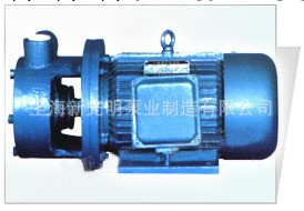 廠傢直銷W型單級漩渦泵系列/高質量單臂式單級漩渦泵工廠,批發,進口,代購