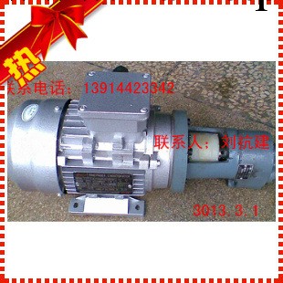 熱銷推薦 LBZ-2.5小流量潤滑泵 立式液壓泵電機裝置批發・進口・工廠・代買・代購