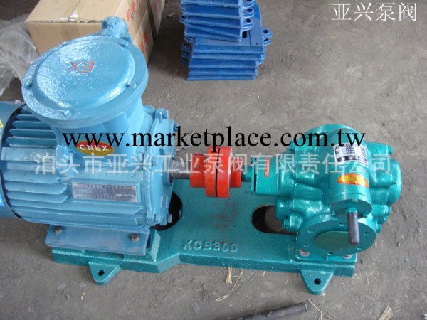 銷售:KCB-300銅齒輪泵.防爆齒輪油泵工廠,批發,進口,代購