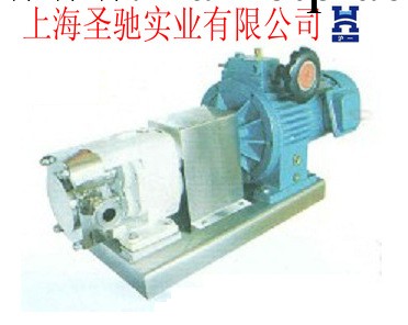 廠傢直銷 【YGB-20】  YGB不銹鋼轉子泵工廠,批發,進口,代購