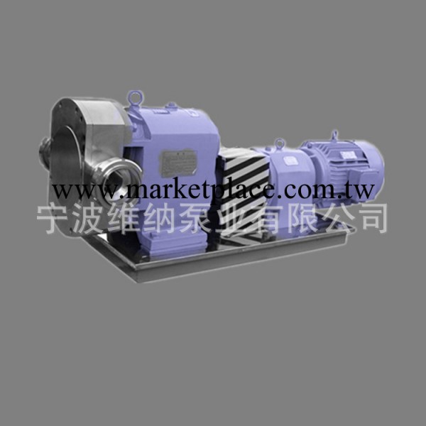 供應化纖轉子泵 不銹鋼轉子泵 轉子泵工廠,批發,進口,代購