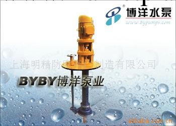 供應FY型液下泵工廠,批發,進口,代購