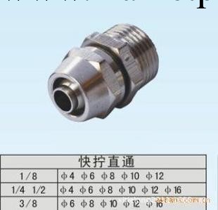 全銅快擰接頭 快擰直通接頭 外螺紋工廠,批發,進口,代購