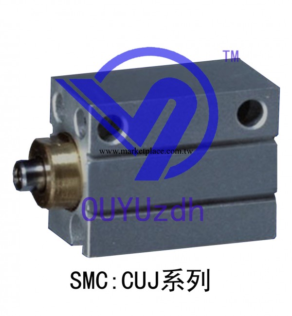 國產精品SMC型氣缸進口密封圈不銹鋼軸CUJB10-30DM工廠,批發,進口,代購