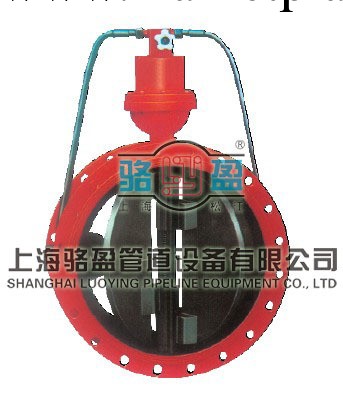 上海駱盈HH49X微阻緩閉蝶式止回閥一流的質量一流的服務工廠,批發,進口,代購