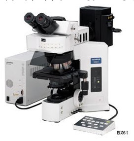 奧林巴斯金相顯微鏡BX61-華東地區一級代理商工廠,批發,進口,代購
