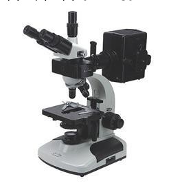 BM-13 熒光顯微鏡-深圳熒光顯微鏡工廠,批發,進口,代購