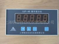 生產XJP-48轉速顯示機工廠,批發,進口,代購