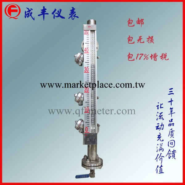 【常州成豐】磁翻板液位計帶液位開關 高密封 防泄漏 廠傢選型工廠,批發,進口,代購