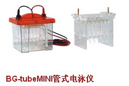 供應BG-tubeMINI管式電泳機 ，電泳槽工廠,批發,進口,代購