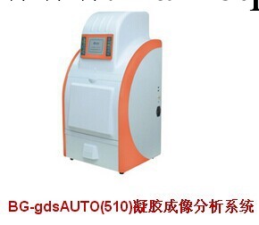 供應BG-gdsAUTO(510)凝膠成像分析系統工廠,批發,進口,代購