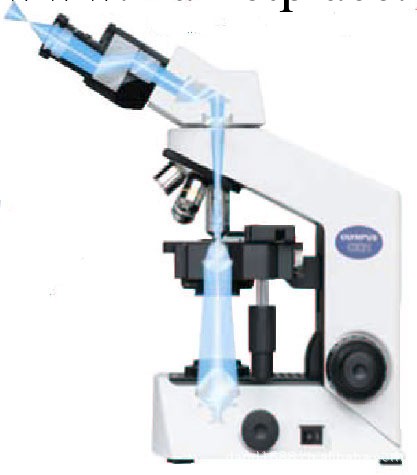 巴玖供應進口日本奧林巴斯生物雙目顯微鏡價格型號價格原理工廠,批發,進口,代購