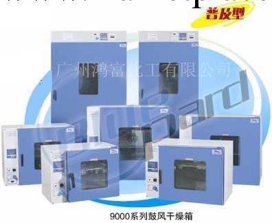 上海一恒電熱鼓風乾燥箱DHG-9620A工廠,批發,進口,代購