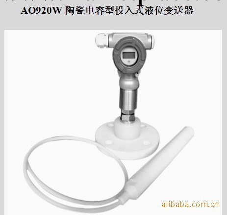 AO920W陶瓷電容型投入式液位變送器工廠,批發,進口,代購