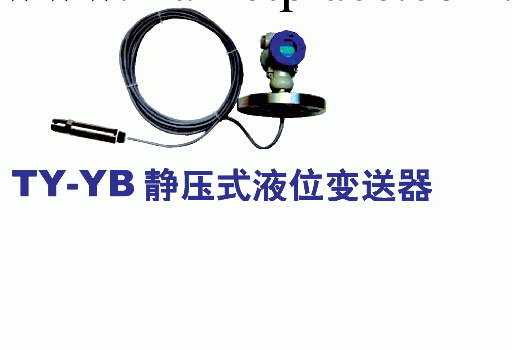 廠傢供應 擴散矽壓力液位計 防腐液位變送器 投入式液位計 TY-YB工廠,批發,進口,代購