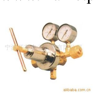 供應氧氣減壓器 YQY-224工廠,批發,進口,代購