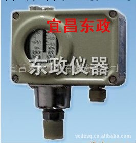 宜昌東政EE2Y400-LWA壓力控制器(本公司具有唯一制造權)工廠,批發,進口,代購