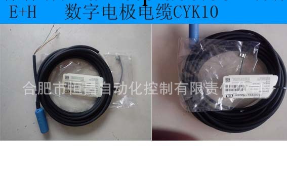 恒昌自動化 德國  E+H 電纜  CYK10-A101工廠,批發,進口,代購