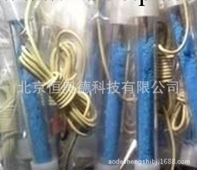 硫酸銅參比電療 參比電療工廠,批發,進口,代購