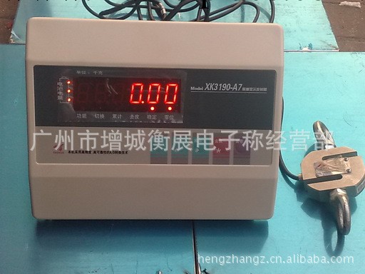 分離式電子吊磅，分離式電子吊秤，液體定量稱重專用吊磅工廠,批發,進口,代購