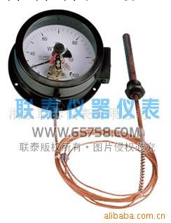 WTQ-288壓力式電接點溫度計 CHLED 聯泰工廠,批發,進口,代購