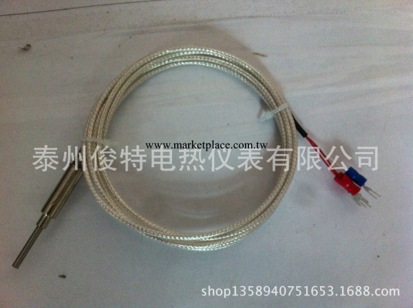 供應 鎧裝式熱電阻 PT100熱電阻 細微熱電阻 WZPK-191 可定制工廠,批發,進口,代購