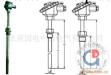 國電中自  供應耐磨熱電偶工廠,批發,進口,代購