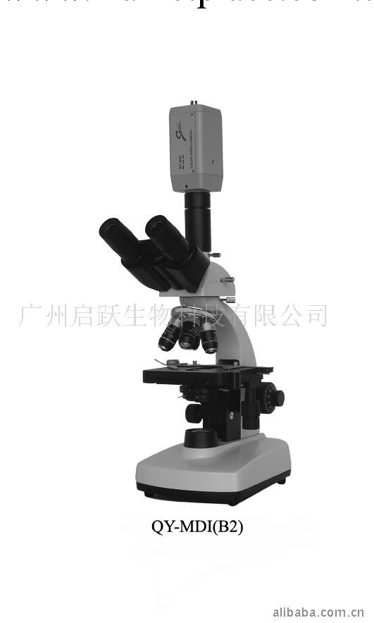 廣州啟躍雙目觀察QY-MDI(B2)視頻顯微應用之一滴血檢測機批發・進口・工廠・代買・代購