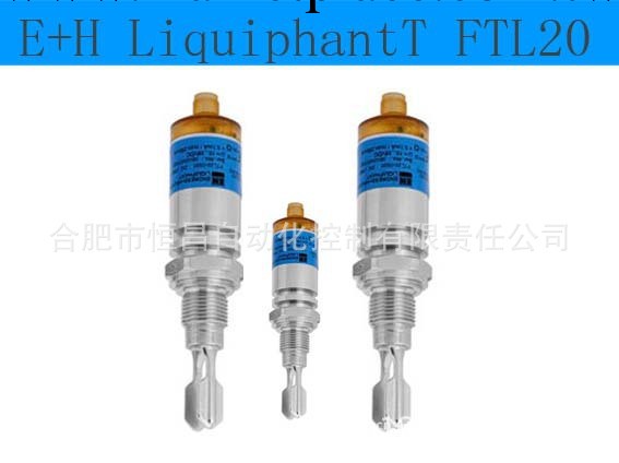 【恒昌自動化】產品批發 FTL20-0120    E+H   音叉液位/物位計工廠,批發,進口,代購