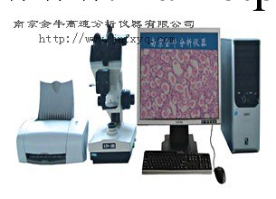 供應金相圖像分析機,鑄鐵檢測設備機工廠,批發,進口,代購