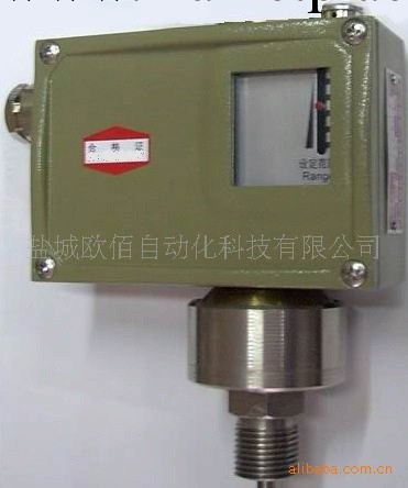 D511系列壓力控制器工廠,批發,進口,代購