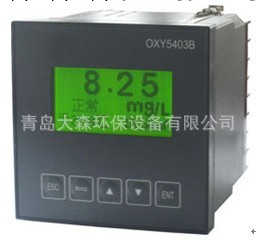 OXY5403B在線式溶解氧機工廠,批發,進口,代購