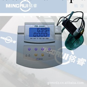 銘睿電子 臺式酸度計   PH-2601工廠,批發,進口,代購