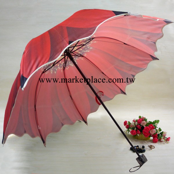 新款阿波羅包邊傘 sunflower umbrella 時尚女孩傘 XC-819工廠,批發,進口,代購