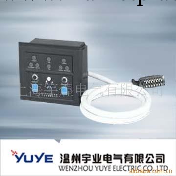廠傢直銷  供應雙電源 YCU-B型智能控制器批發・進口・工廠・代買・代購