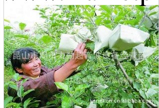 果袋機 無紡佈果袋機 蘋果袋機 芒果袋機 香蕉袋機工廠,批發,進口,代購