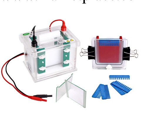 垂直電泳槽廠傢-垂直電泳槽JY-SCZ4+-垂直電泳槽尺寸工廠,批發,進口,代購