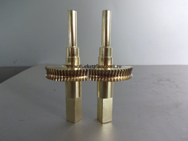 10型鋼銅合體蝸輪 渦輪蝸桿齒輪 蝸輪加工 渦輪蝸桿批發・進口・工廠・代買・代購