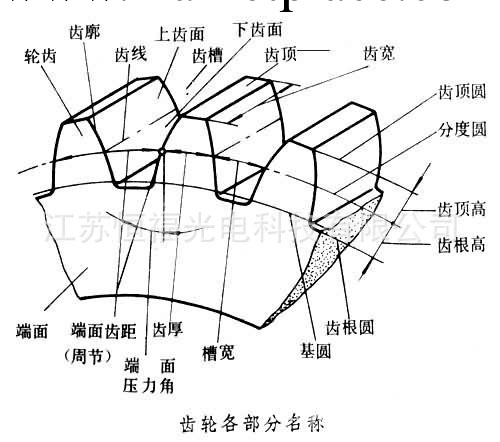 長期供應優質齒輪9S-01-07工廠,批發,進口,代購