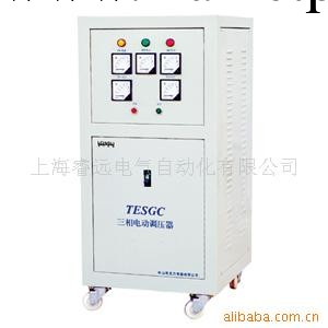 供應TESGC系列電動式調壓器TESGC-6KVA批發・進口・工廠・代買・代購