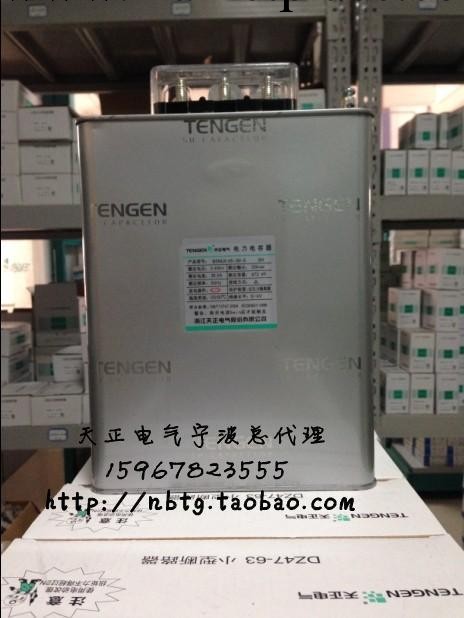 正品TENGEN天正電氣 電力電容器 BSMJ0.45-30-3工廠,批發,進口,代購