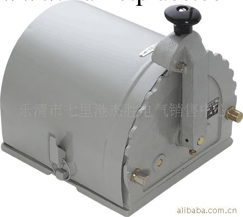 批發供應LK1-12/06 主令控制器工廠,批發,進口,代購