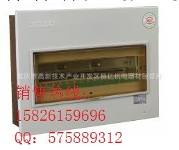 CDPZ30 配電箱，照明配電箱，PZ30,德力西CDPZ30照明箱工廠,批發,進口,代購